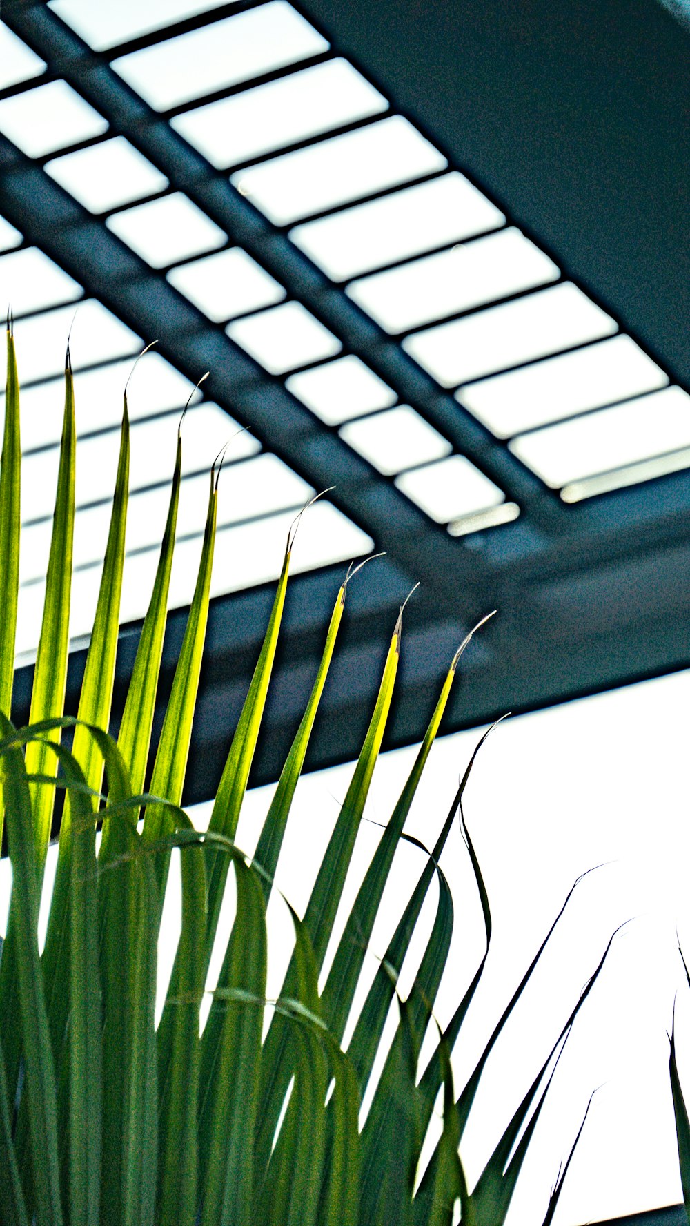 Bioklimatická pergola s otočnými lamelami